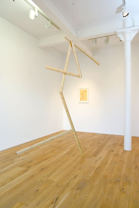 No Title 2008 maple plywood, acrylic paint, varnish, iron wire dimensions variable